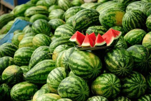 善堂网红吃瓜视频下载免费,善堂免费下载背后的秘密 第2张 善堂网红吃瓜视频下载免费,善堂免费下载背后的秘密 第2张